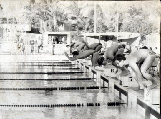 Saída dos 100m borboleta. André Fiore na raia... bem, não é preciso citar. Fonte: Facebook do Fiore onde ele coloca o seguinte comentário: "Largada da final do 100 borboleta Troféu Brasil 85, será que foi "queimada"? Por favor sem protestos senão a CBDA manda caçar minha medalha"  